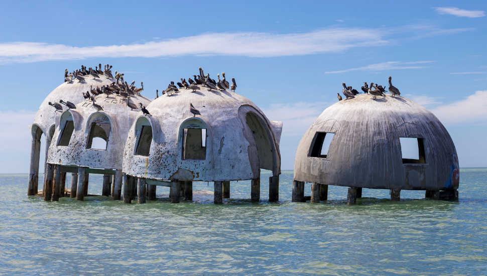 Florida Dome Houses