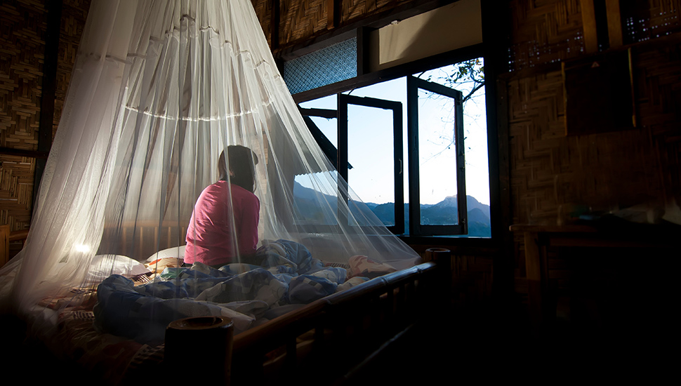 Person in Mosquito net