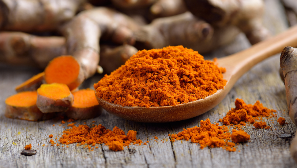 Fresh turmeric roots and powder