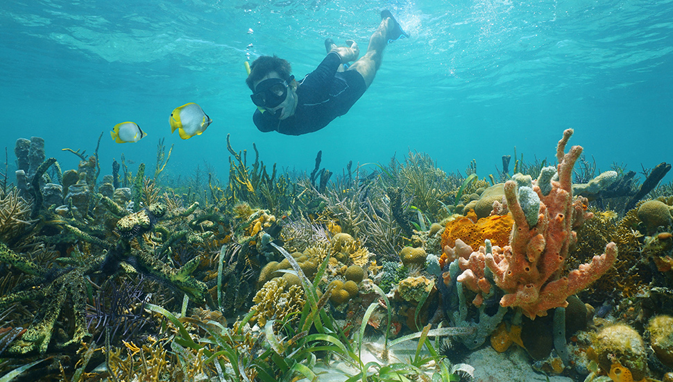 Snorkelling in Central America