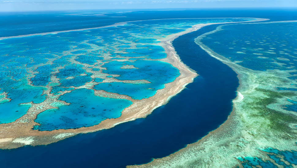 Great Barrier Reef Whitsunday Australia