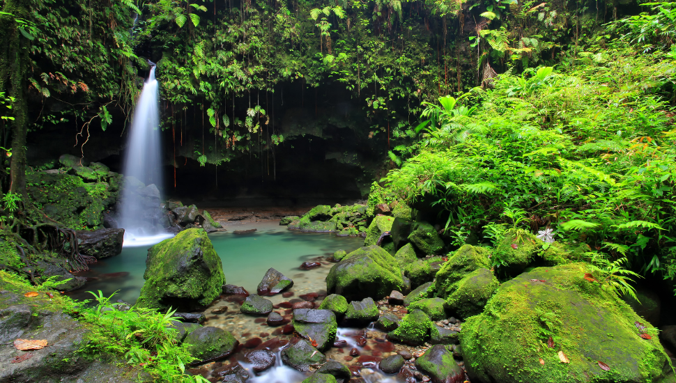 Why Visit Dominica Island Of Nature Best Travel Insurance Start Travel