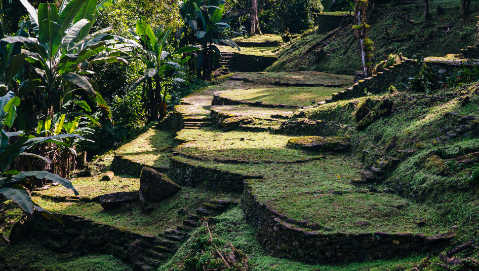 Terraces of the Lost City, Colombia