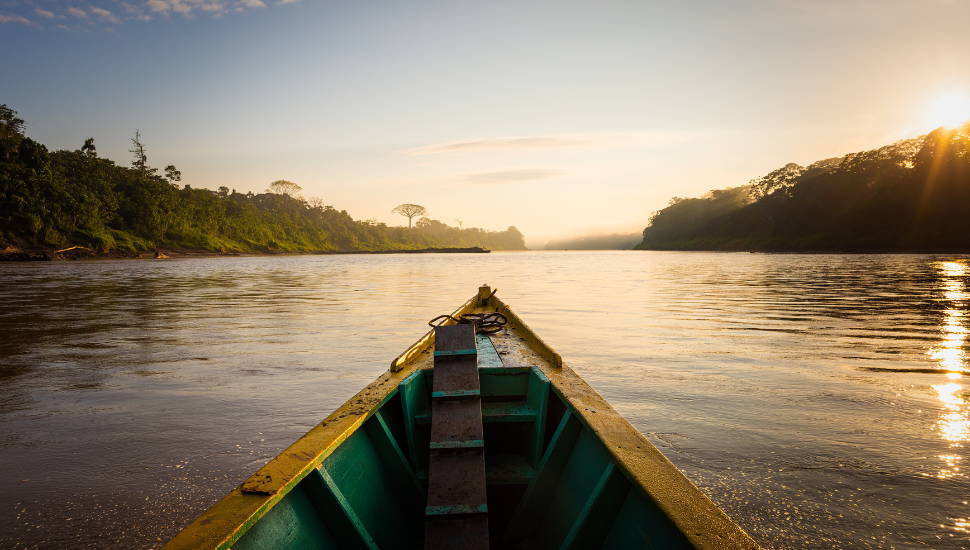 Rainforest boat trip