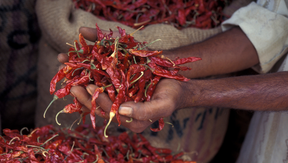 Asian street market selling chillies