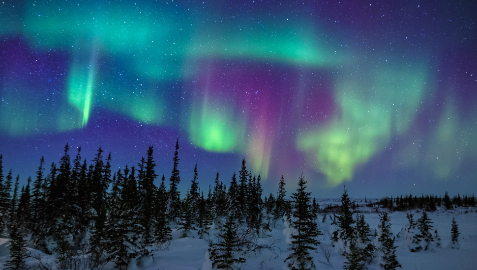 Northern Lights