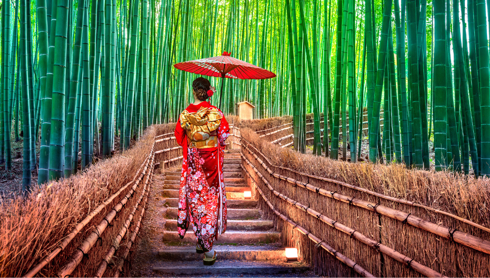 Arashiyama bamboo forests, Japan