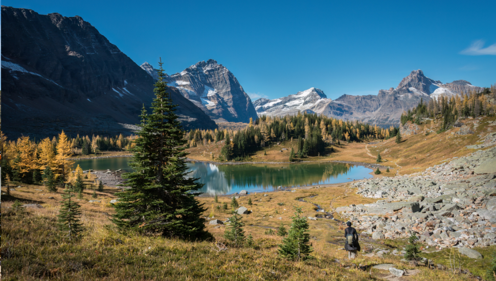 Hiking Lake O’Hara alpine route and Opabin lakes in Autumn. Yoho National Park. Canadian Rockies.