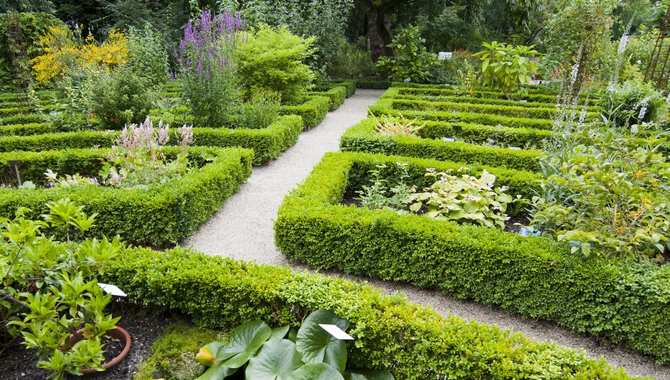 Amsterdam Botanical Garden