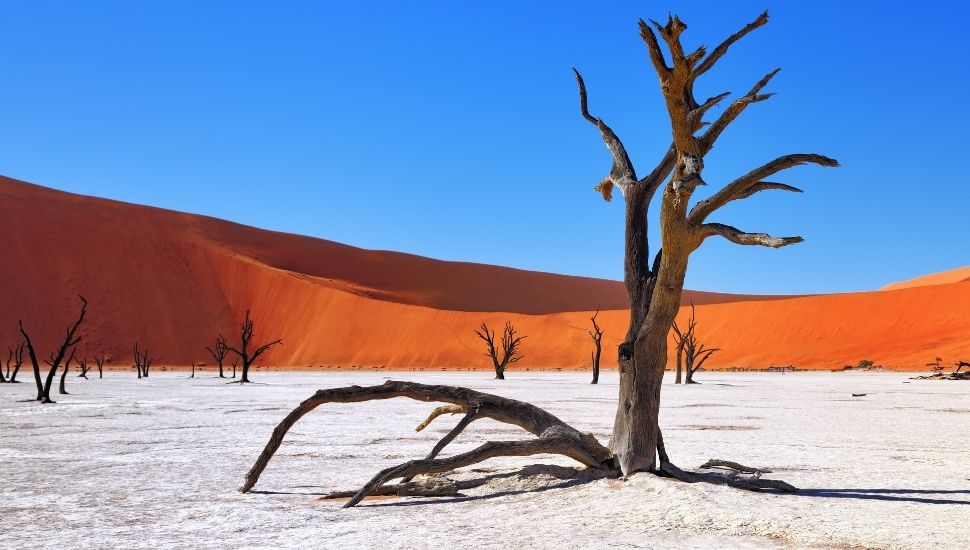 Namib, Namibia