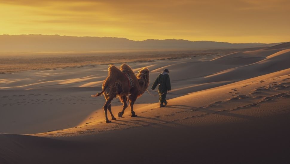 Gobi Desert, Mongolia