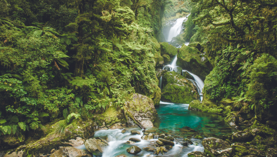 Mackay Falls on Milford Track, New Zealand