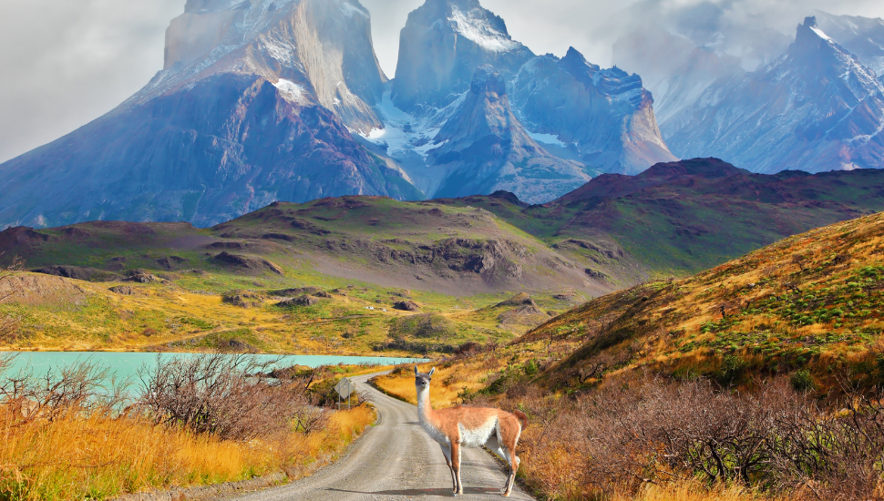 Patagonia Scenery and Wildlife
