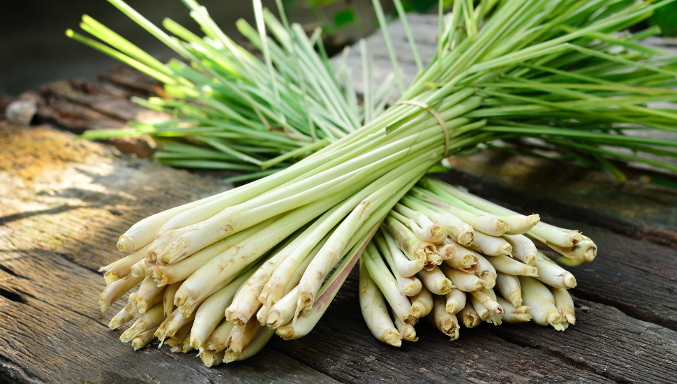 Lemongrass