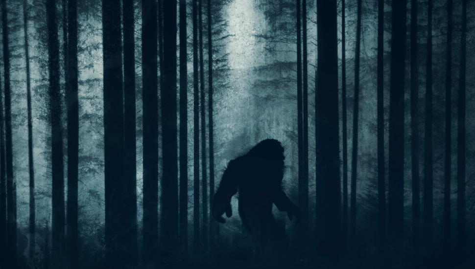 Bigfoot depicted in the woods at night