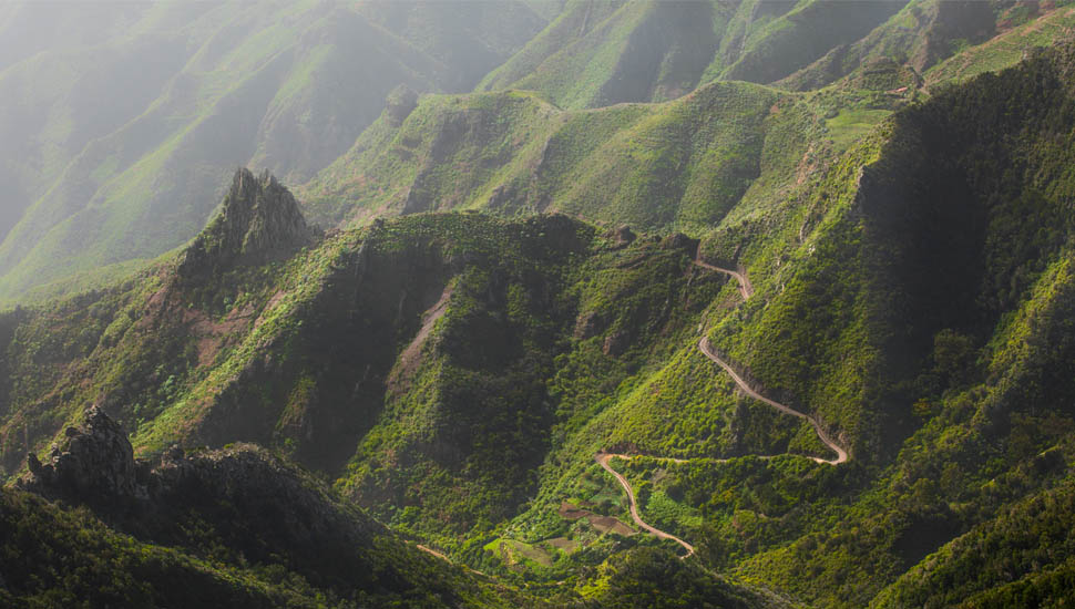 Hiking in Tenerife
