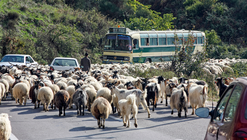 Albanian Traffic