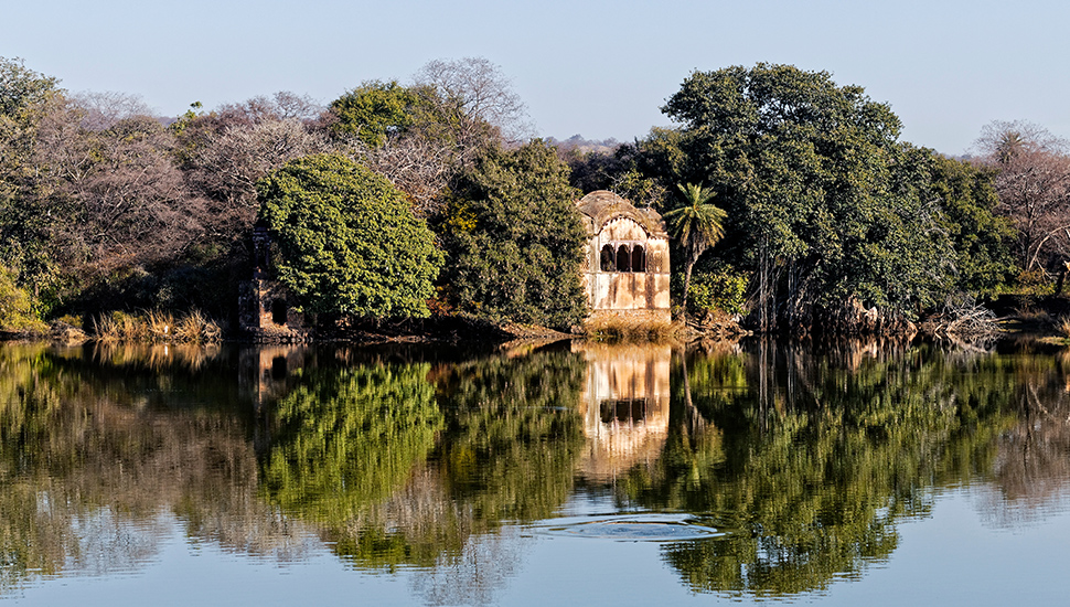 The abondoned hunting lodge Jogi Mahal, on the shores of Padam Talao in Ranthambore
