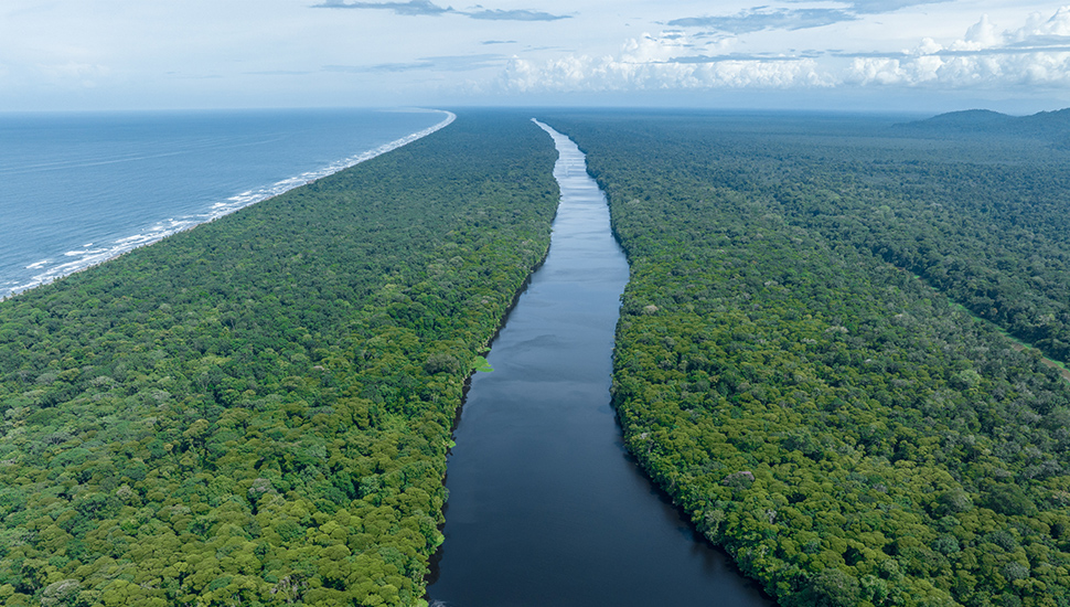 Totuguero National Park, Costa Rica