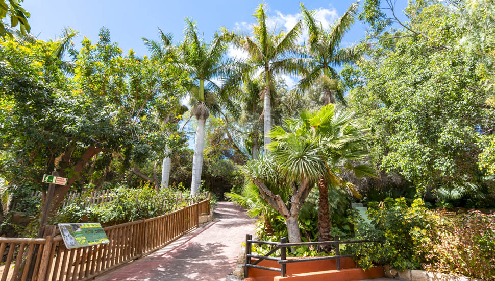 Jungle Park Tenerife