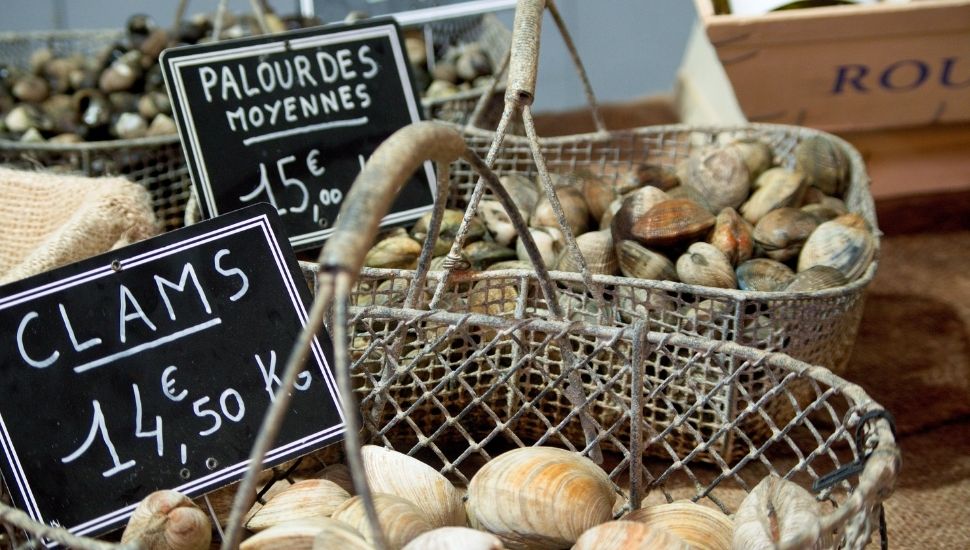 Clams on sale at a French market