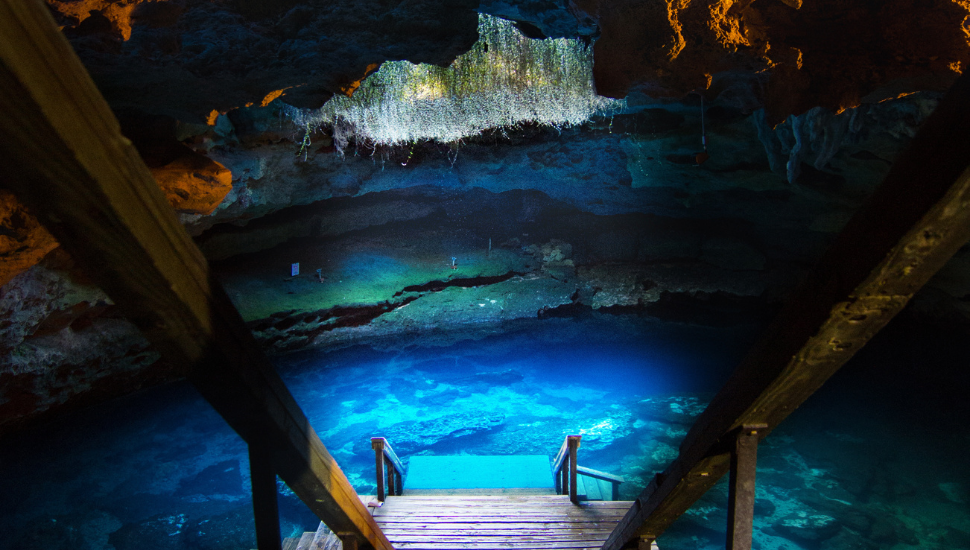 Devil's Den Cave, Florida