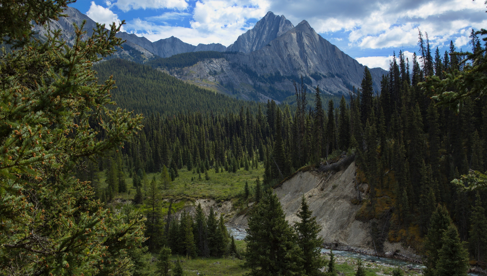 Johnston Creek in Banff National Park, Canada