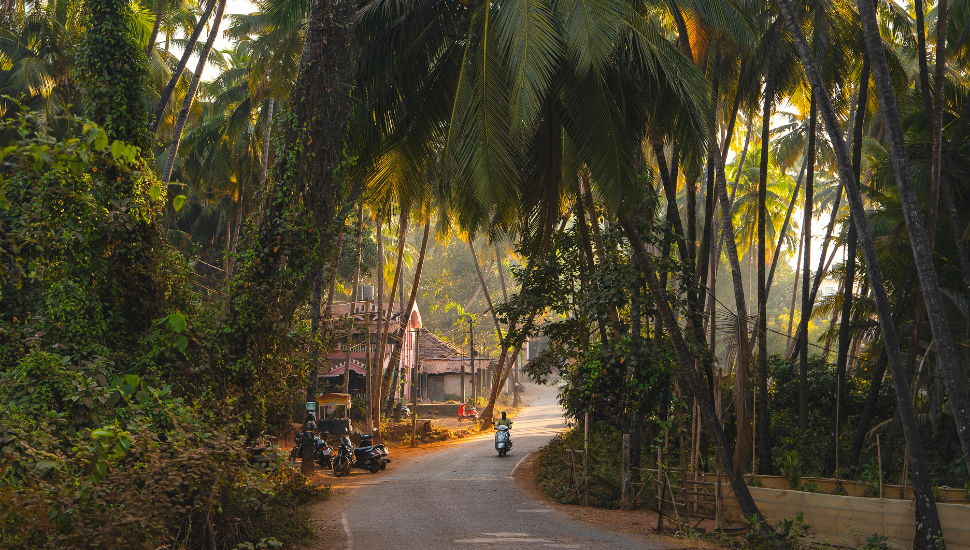 Road in Agonda Villlage, Goa