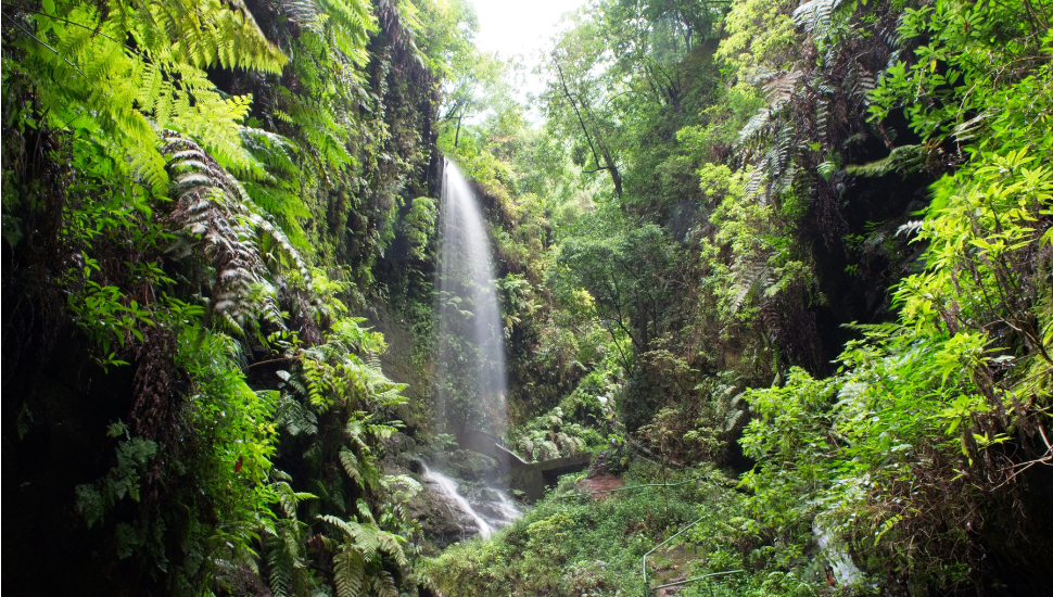 Waterfall, Los Tilos, La Palma