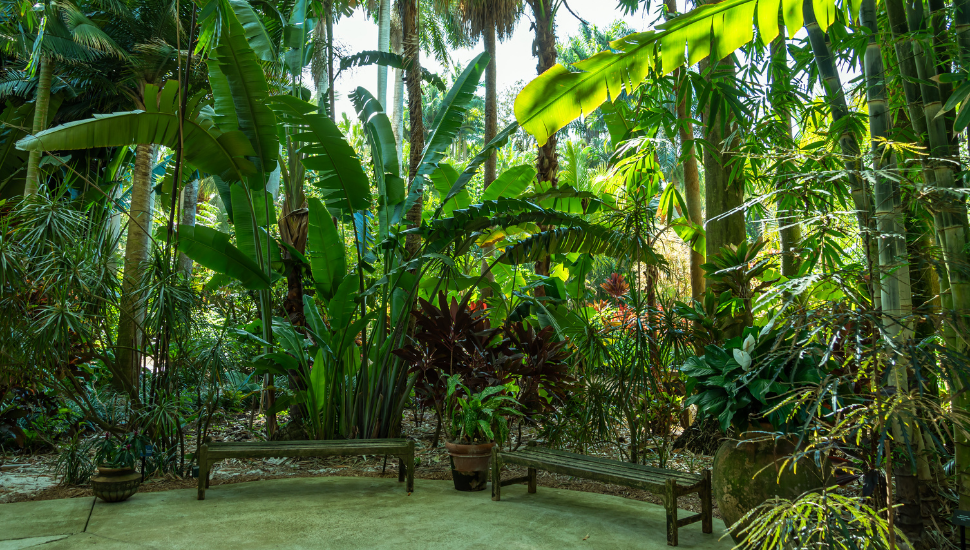 Sunken Gardens, Saint Petersburg, Florida