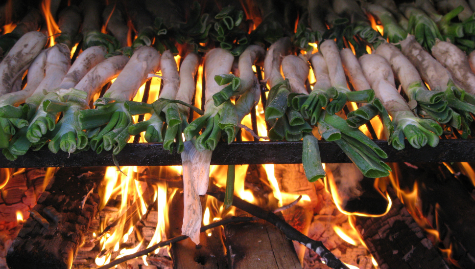 Catalonian Calçots