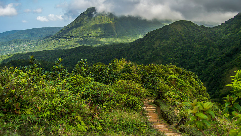 7 Reasons To Visit Dominica The Caribbean S ‘nature Island Uk