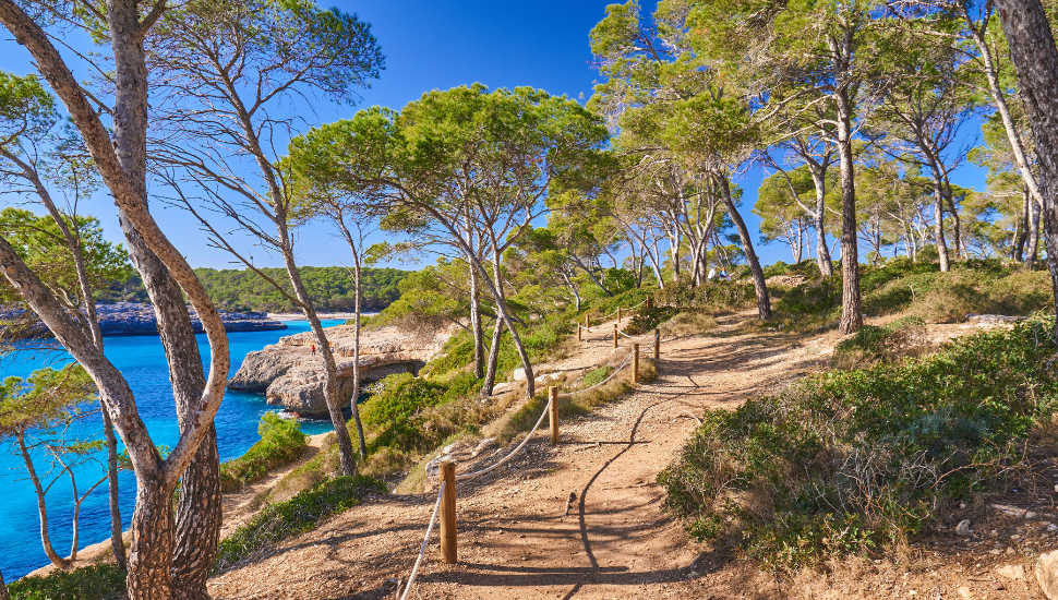 Cala Mondrago Beach Mallorca